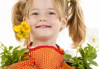 Kleine gaertnerin Kleine gaertnerin